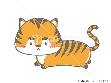 こっちを向いて走るゆるかわな寅 とら のイラスト素材