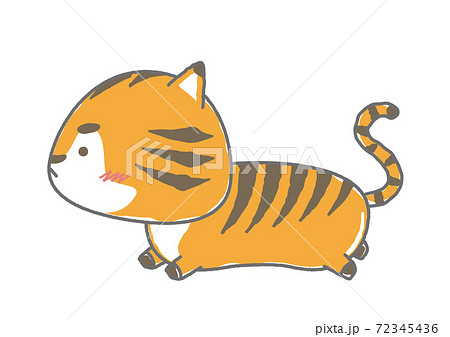 前を向いて走るゆるかわな寅（とら） 72345436