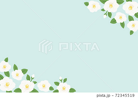 白い椿の花の背景イラストのイラスト素材