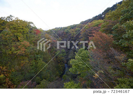 雪割橋 雪割橋 72346167