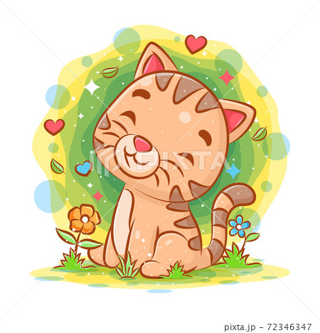 Baby cat sitting and smiling in the garden Baby cat sitting and smiling in the garden 72346347