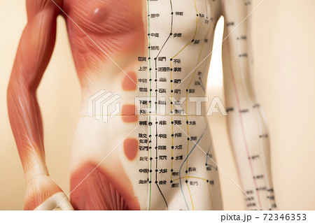 鍼灸模型　サロンイメージ 72346353