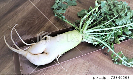 二股大根です。 72346563