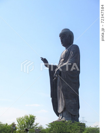 春の牛久大仏 春の牛久大仏 72347584