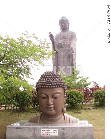 春の牛久大仏 春の牛久大仏 72347604
