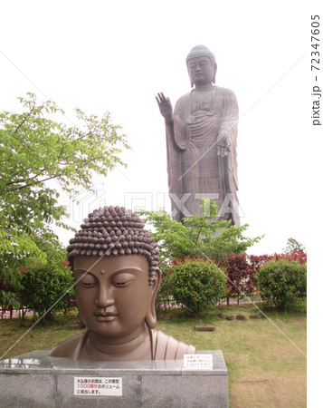 春の牛久大仏 春の牛久大仏 72347605