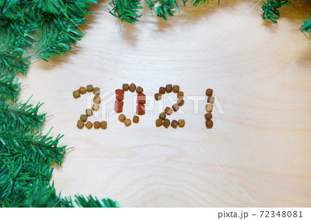 food for cats and dogs and the new year. Dry food label. Pet treats in 2021 food for cats and dogs and the new year. Dry food label. Pet treats in 2021 72348081