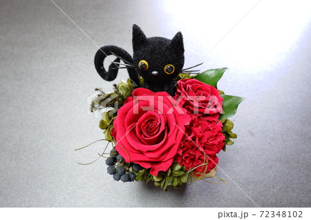 プリザーブドフラワー 薔薇と猫 の写真素材
