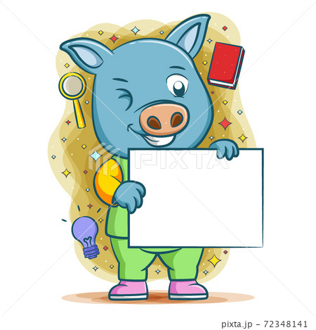 The pig doing analysis and holding white blank board The pig doing analysis and holding white blank board 72348141