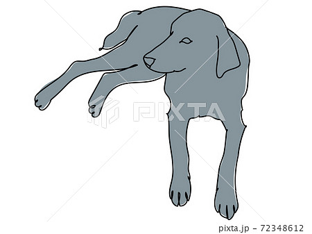 寝そべる犬 線画のイラスト素材