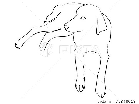 寝そべる犬 手描き風線画のイラスト素材