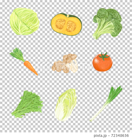 一套彩色鉛筆式蔬菜 一套彩色鉛筆式蔬菜 72348636