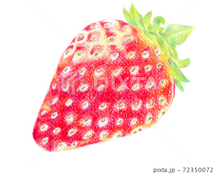 イチゴの色鉛筆画のイラスト素材