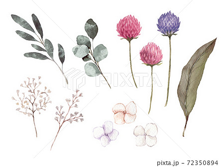 ナチュラルな花と葉っぱの素材 水彩イラストのイラスト素材