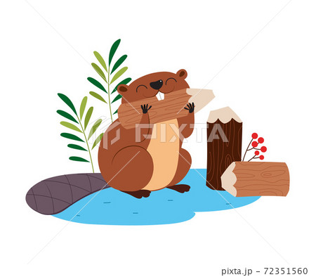 Funny Beaver Rodent As Forest Animal Gnawing のイラスト素材
