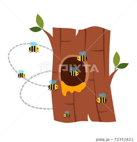 Bee Hive Flying Around Tree Hollow with Honey Vector Illustration 72351621