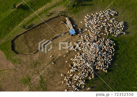 Aerial view of herd of sheep grazing near a sheepfold Aerial view of herd of sheep grazing near a sheepfold 72352550