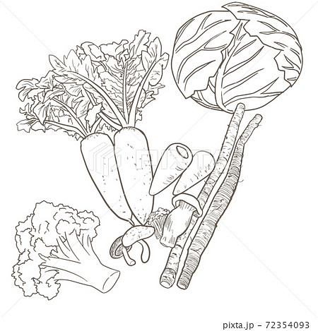 食物繊維の多い野菜 セット モノクロ のイラスト素材