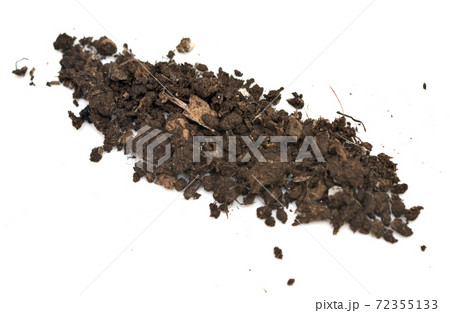 soil on white soil on white 72355133