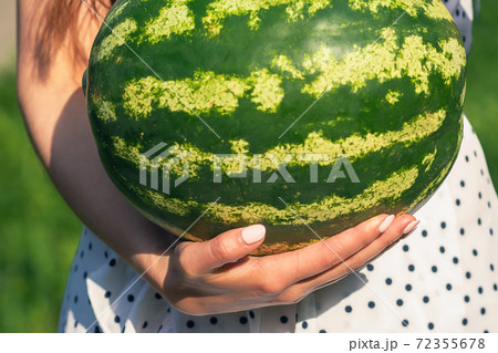 Whole watermelon in hands. 72355678