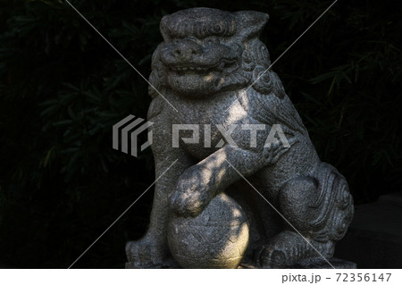 熱海市・来宮神社御神木大楠の狛犬・獅子 72356147