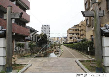 鴻池四季彩々とおり/大阪府東大阪市中鴻池町2丁目1 鴻池四季彩々とおり/大阪府東大阪市中鴻池町2丁目1 72357039