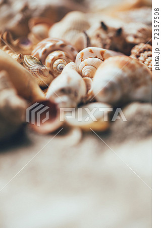 Pile of multicolored sea shells on the sand. Pile of multicolored sea shells on the sand. 72357508