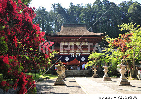 丹生都比売神社の楼門とツツジ 丹生都比売神社の楼門とツツジ 72359988