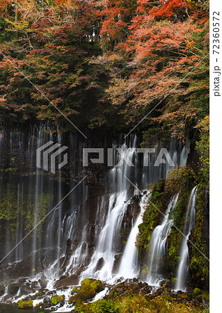 白糸の滝 の紅葉 富士宮市の写真素材