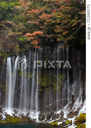 白糸の滝 の紅葉 富士宮市の写真素材