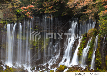 白糸の滝 の紅葉 富士宮市の写真素材