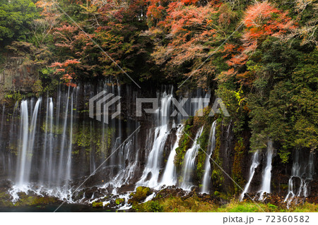 白糸の滝 の紅葉 富士宮市の写真素材