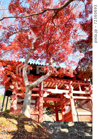 本恵寺 山門の紅葉 本恵寺 山門の紅葉 72360693