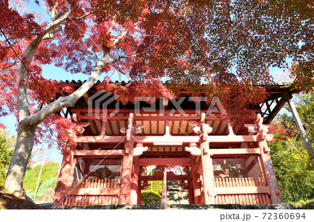 本恵寺　山門の紅葉 72360694