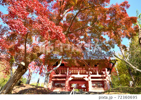 本恵寺 山門の紅葉 本恵寺 山門の紅葉 72360695