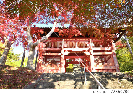 本恵寺 山門の紅葉 本恵寺 山門の紅葉 72360700