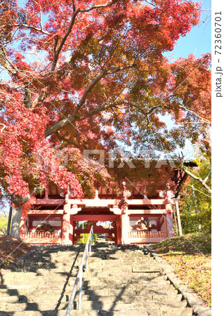 本恵寺 山門の紅葉 本恵寺 山門の紅葉 72360701