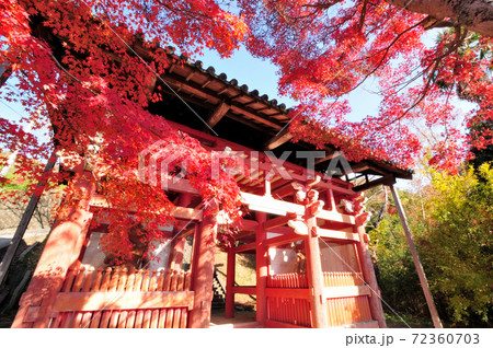 本恵寺 山門の紅葉 本恵寺 山門の紅葉 72360703