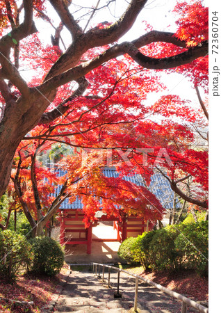 本恵寺 山門の紅葉 本恵寺 山門の紅葉 72360704