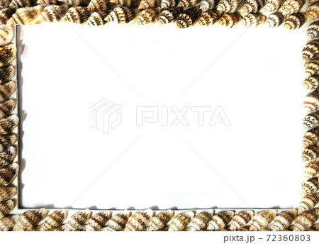 sea shells frame texture sea shells frame texture 72360803