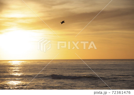 サンディエゴの夕景 サンディエゴの夕景 72361476