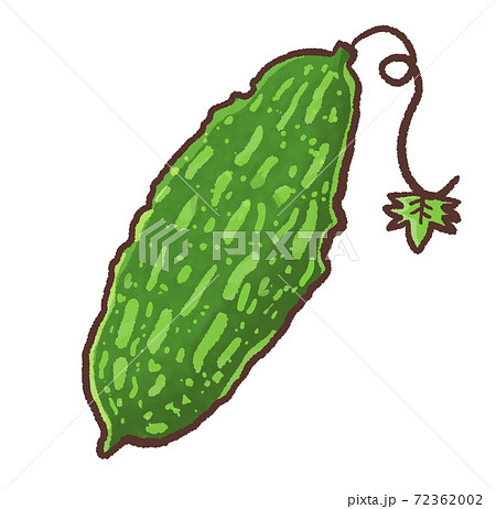 R：もっとメルヘンな夏野菜 ゴーヤ  72362002