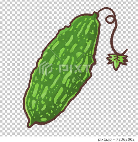 R: More fairy tale summer vegetable bitter gourd R: More fairy tale summer vegetable bitter gourd 72362002