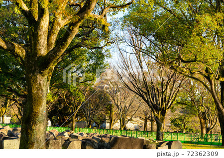 熊本城　二の丸広場から城の風景2020年 72362309