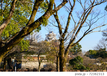 熊本城　二の丸広場から城の風景2020年 72362313