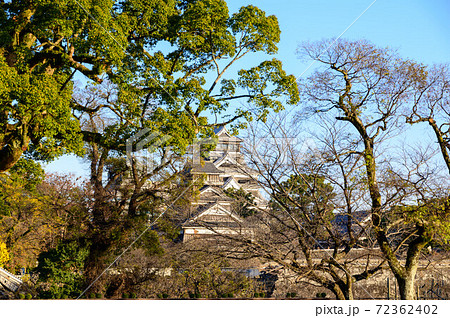 熊本城 二の丸広場から城の風景2020年 熊本城 二の丸広場から城の風景2020年 72362402
