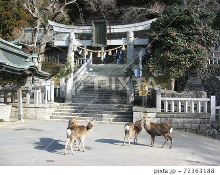 金華山黄金山神社 金華山黄金山神社 72363188