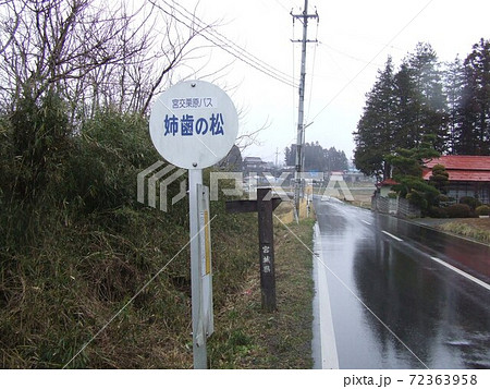 姉歯の松 72363958