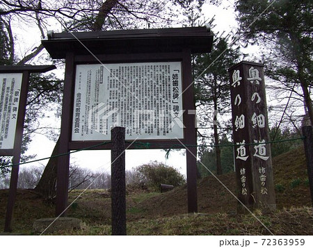 姉歯の松 姉歯の松 72363959