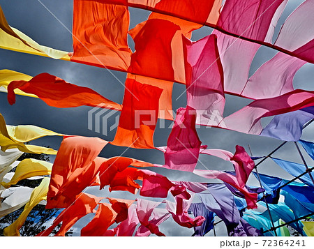 箱館山コキアパークの風景 箱館山コキアパークの風景 72364241